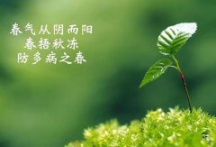 食堂承包公司告訴你2020春季養(yǎng)生宜生發(fā)宜養(yǎng)陽(yáng)